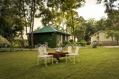 Ashoka Tiger in Ramnagar, Jim Corbett